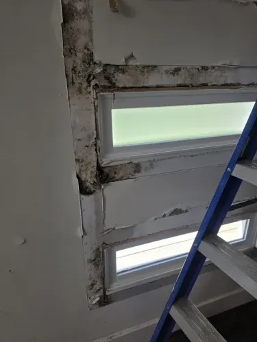 p3 wall-mold 02