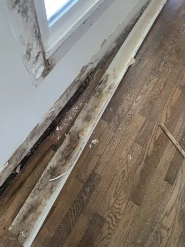 p3 wall-mold 04