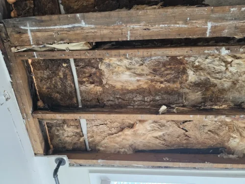 p3 wall-mold 08
