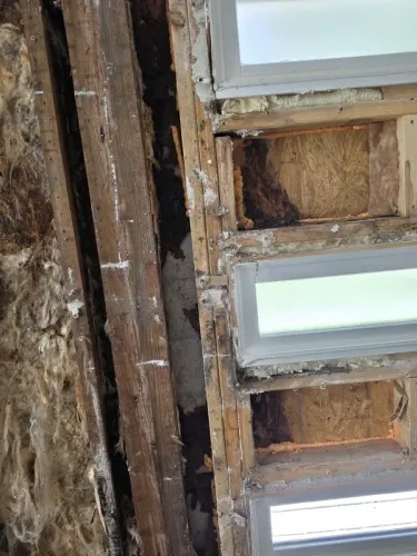 p3 wall-mold 11