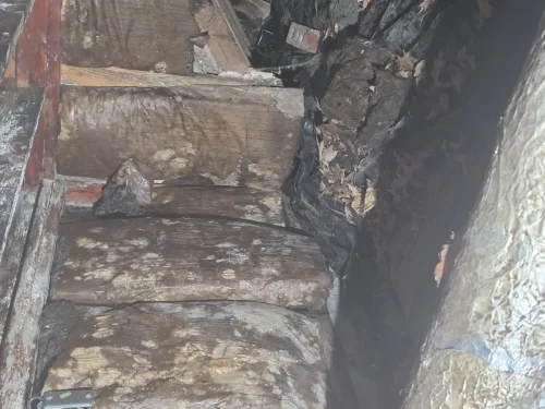 p8 crawlspace-debris 05