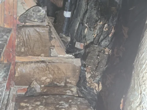 p8 crawlspace-debris 06