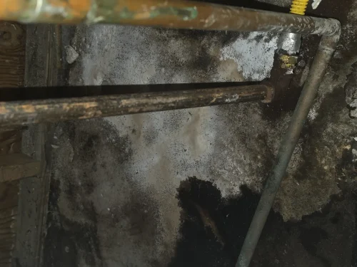 p8 crawlspace-debris 08