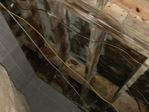 p8 crawlspace-overview 11