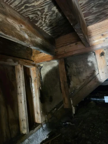 p8 joist-mold 03