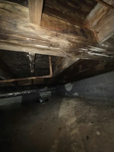 p8 joist-mold 04